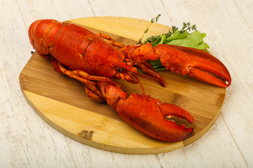 Lobster