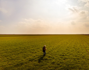 Fototapeta premium Aerial view of senior farmer standing in young wheat field and examining crop. 