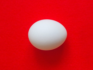 Egg on a red background