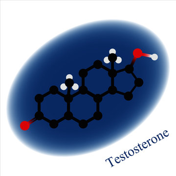 Testosterone illustration