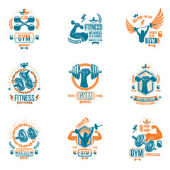 Vector weightlifting theme logotypes and inspirational leaflets collection made using dumbbells, barbells, disc weights sport equipment and strong man perfect body.