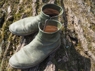 Pair of green boots on a tree trunk close up