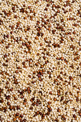 Dry seeds mixed quinoa