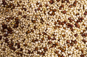 Dry seeds mixed quinoa