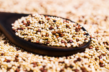 Dry seeds mixed quinoa
