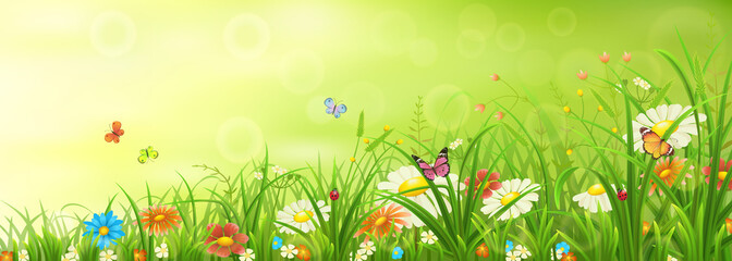 Green spring or summer meadow with grass, flowers and butterflies