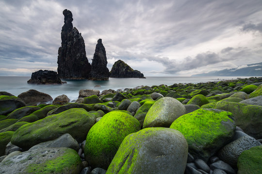 Close up of moss covered stones by the seashore