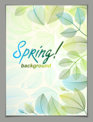Spring vertical banner design, vector green and fresh leaves floral beautiful background, Spring Sale, advertising poster, brochure or flyer design. Stylish classy botanical drawing, environment.