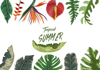 Summer tropical background with flowers. Background with tropical plants - flowers and plants nature