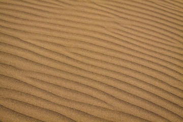 Background of sand ripples with cleary shapes.