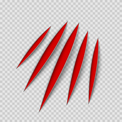 Red claws animal scratch scrape track. Cat or tiger scratches paw shape. Four nails trace. Vector illustration isolated on transparent background