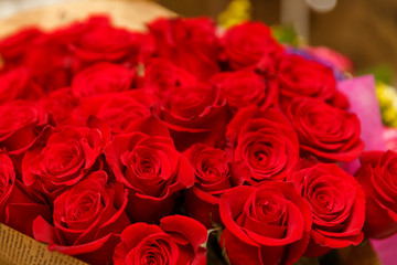 Bouquet of many red roses