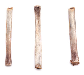 Rib bones