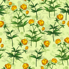 Seamless vector floral pattern. Floral background of yellow Ranunculus with plant shadows on light green background.
