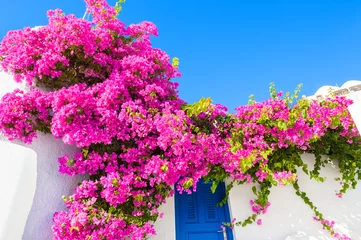 Fotobehang Wit gebouw met blauwe deur en roze bloemen. © smallredgirl