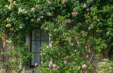 Window in a small old house with roses around it
