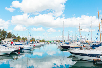 Fototapeta premium Sailing boats in marina