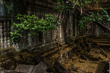 Cambodia Angkor Complex 360
