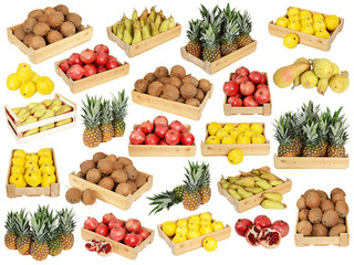 Pears, Pineapple, Apple-Quince, Pomegranate on white Background