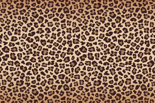 Leopard Pattern Images – Browse 175,578 Stock Photos, Vectors, and Video