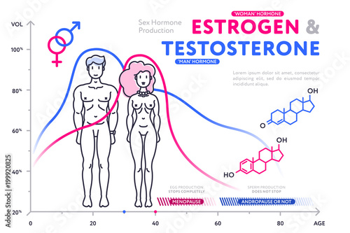 Colorful Diagram In Flat Style Showing Estrogen And Testosterone