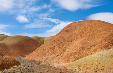 Desert landscape red