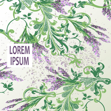 Lavender floral pattern cover design. Hand drawn baroque flower. Elegant trendy background blossom greenery branche. Graphic illustration wedding, invitation, poster, card, cover, catalog vector