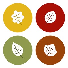 Autumn leaves, vector icon set