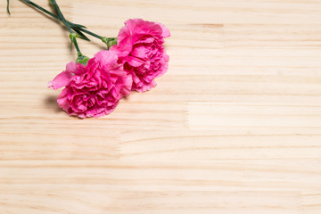 母の日イメージ