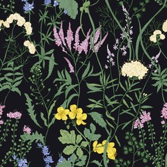Obraz premium Elegant seamless pattern with trendy wild flowers and herbaceous flowering plants on black background. Beautiful floral backdrop. Colorful vector illustration for textile print, wallpaper.