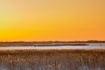 Dawn over the floodplain of the river