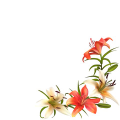 Obraz na płótnie Canvas Lilies. Flowers. Floral background. Bouquet. Green leaves. Buds. Petals. Vector illustration. Border. 