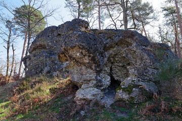 Fototapeta premium Le Carrosse rock in fontainebleau forest