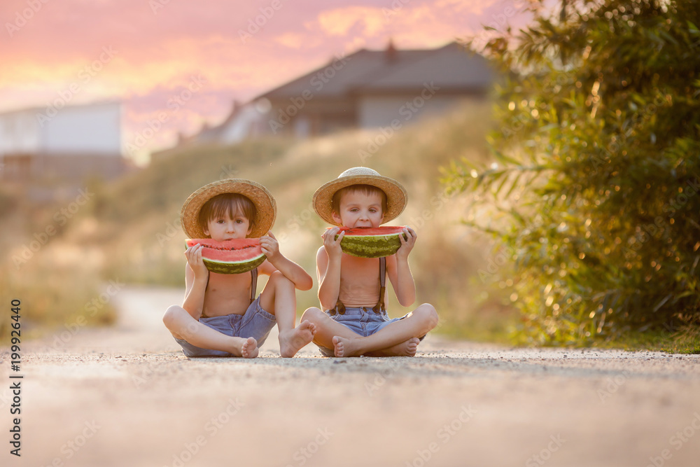 Wall mural Two cute little boys, eating watermelon on a rural village path