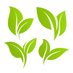 Green leaf set. Eco design
