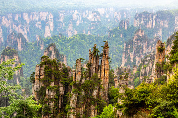 Quartzite sandstone pillars and peaks with green trees and mountains panorama, Zhangjiajie national forest park, Hunan province, China
