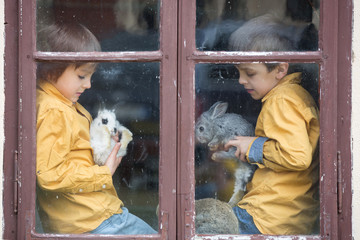 Cute little preschool boys, playing with pet rabbits, sitting on vintage window