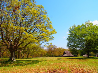 Fototapeta premium Cihba Kasori Shell Mound Remains Park