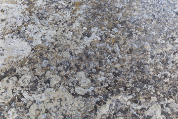 The texture of the ancient stone covered with moss