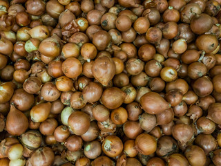 Obraz premium Fruit market with various colorful fresh fruits and vegetables