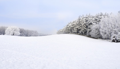 Winter landscape. Snow everywhere, white trees and meadows © Bartosz