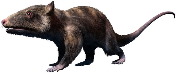 Fototapeta na wymiar Purgatorius from the Cretaceous era 3D illustration