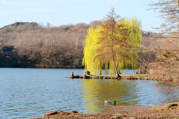 Sirio lake near the beautiful mountains, Italy, Europe.