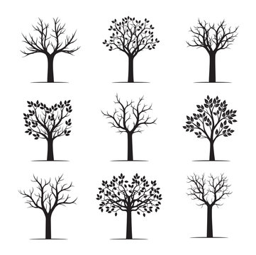 Set black naked Trees. Vector Illustration.