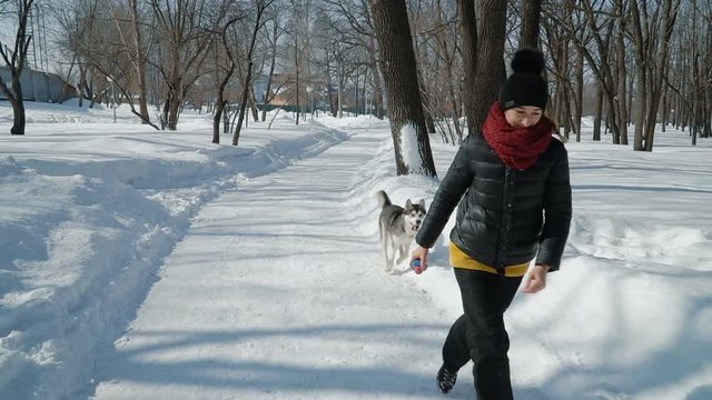 Beautiful girl playing with malamute dog on the snow outdoors in slow motion. Running the snowpath in the park.