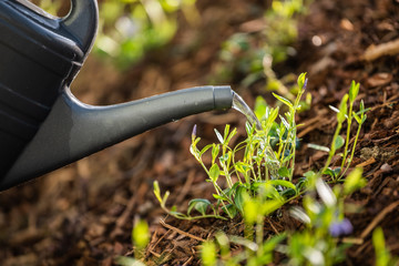 Gartenarbeit im Fr&uuml;hling