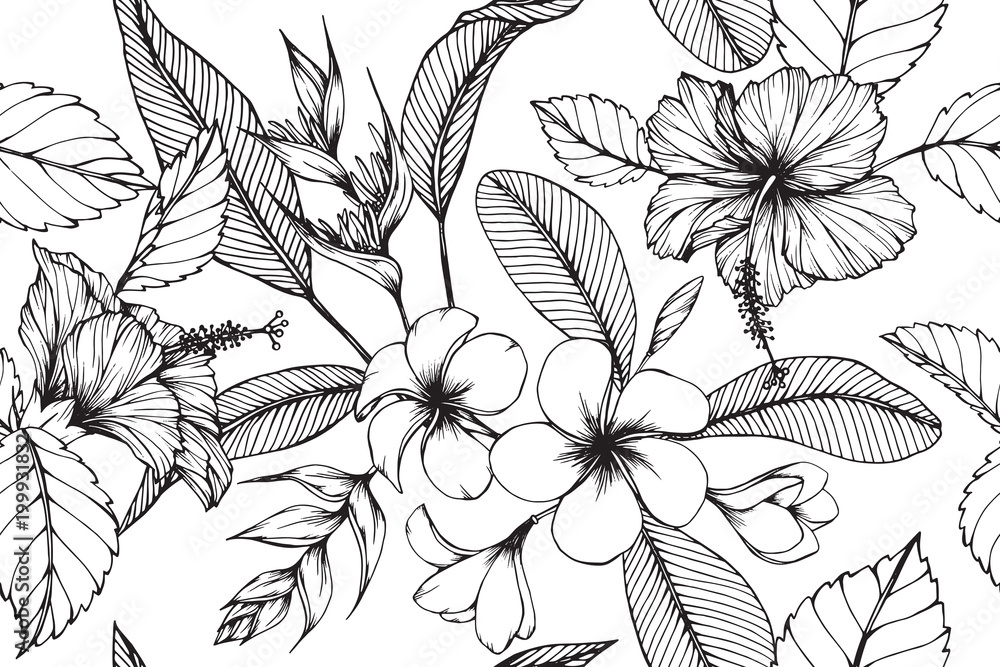 Wall mural hawaiian pattern seamless background with flower and leaf drawing illustration.