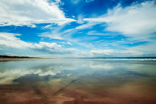 Braunton Bilder Durchsuchen 551 Archivfotos, und