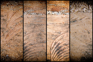 Stump wooden structure for texture or background