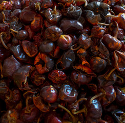 Rote, braune, scharfe, getrocknete Habanero Chilischote Nahaufnahme auf einem Markt in Valle de Bravo, Mexiko